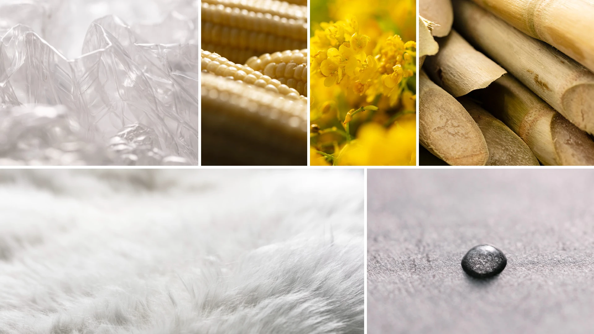 Hyundai IONIQ 5 2024 Sustainable Materials